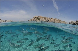  Détroit de Bonifacio 